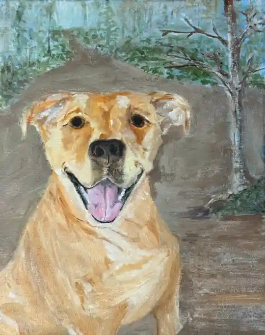 PH Reference Dog 500w25